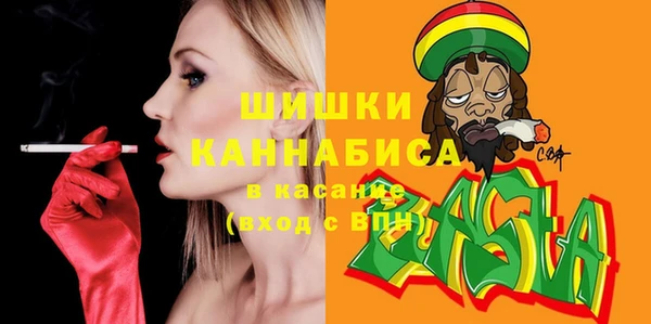 стаф Арсеньев