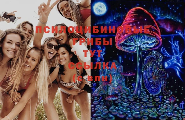 стаф Арсеньев