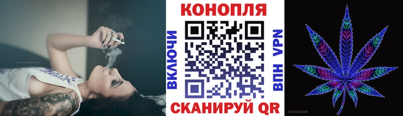 Бошки Шишки OG Kush  блэк спрут ссылка  Георгиевск 