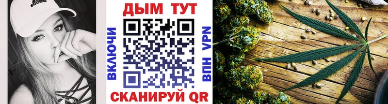 Конопля планчик Георгиевск